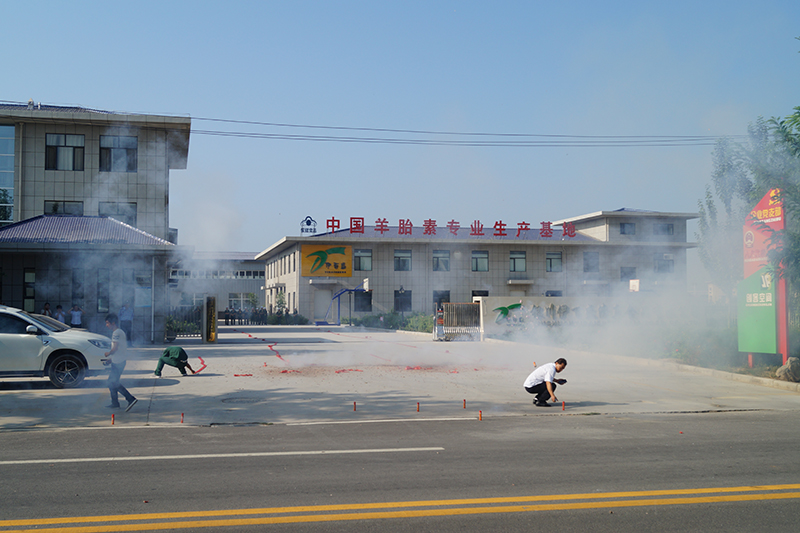 銀川伊百盛生物工程有限公司 銀川伊百盛生物工程有限公司