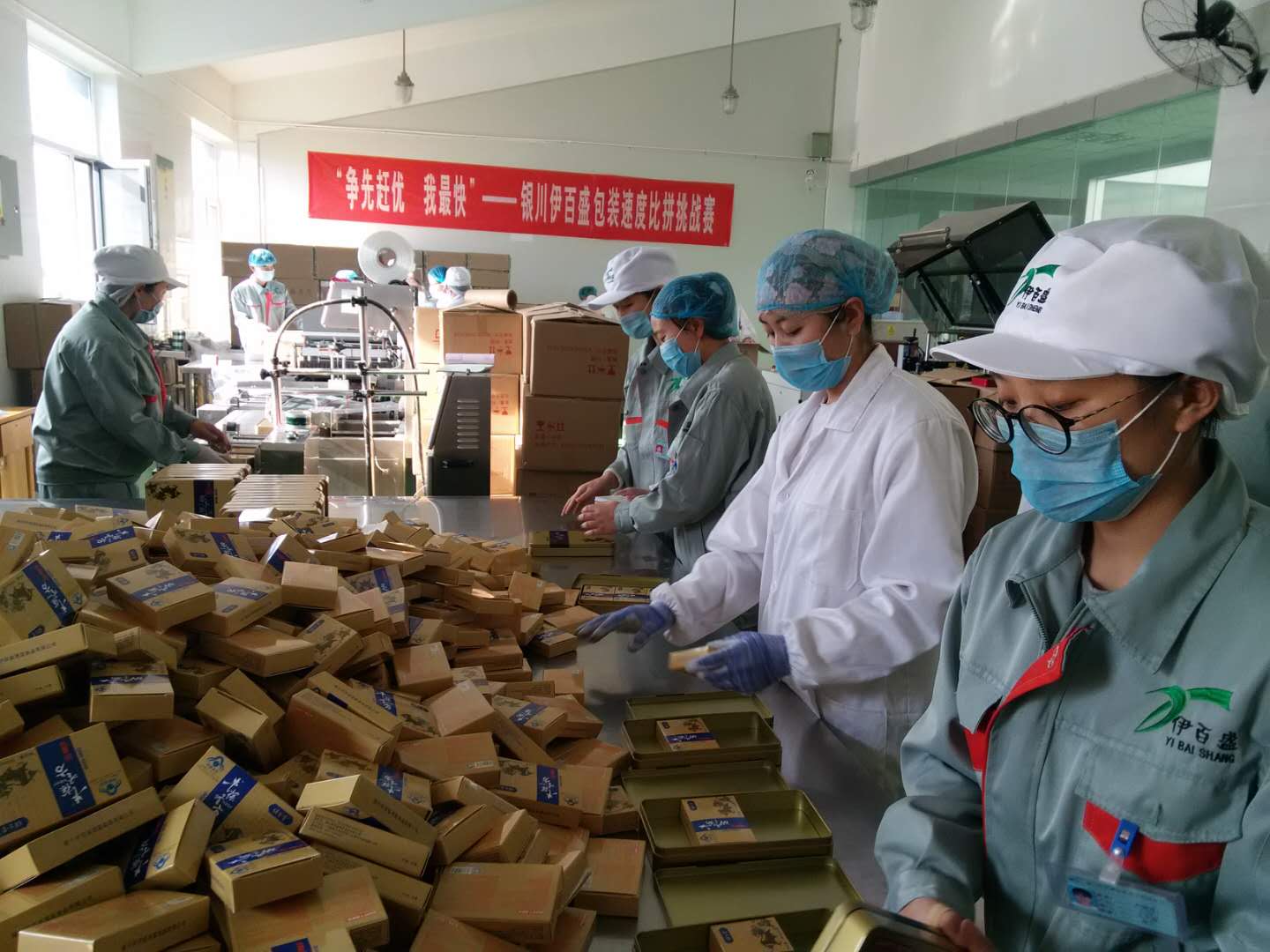 銀川伊百盛生物工程有限公司 銀川伊百盛生物工程有限公司