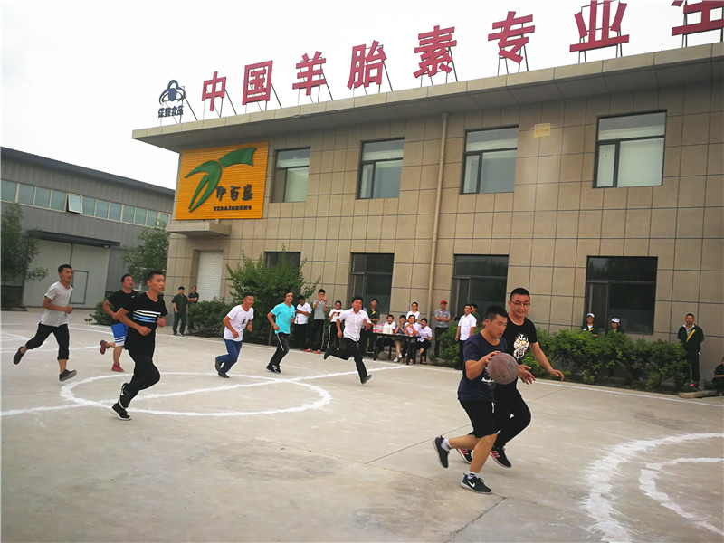 銀川伊百盛生物工程有限公司 銀川伊百盛生物工程有限公司