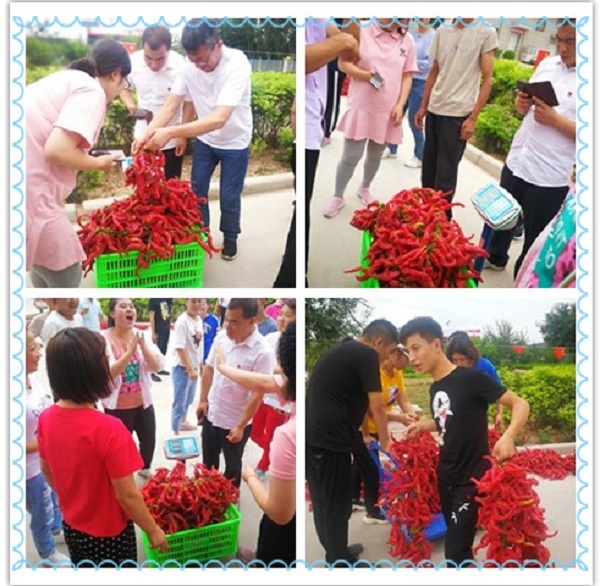 銀川伊百盛生物工程有限公司 銀川伊百盛生物工程有限公司