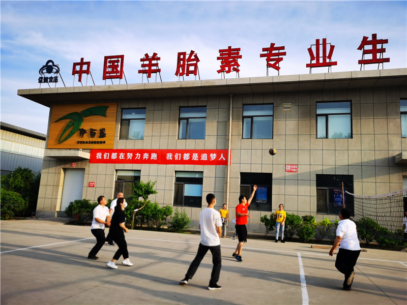 銀川伊百盛生物工程有限公司 銀川伊百盛生物工程有限公司