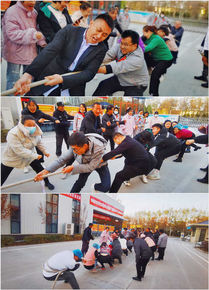 銀川伊百盛生物工程有限公司 銀川伊百盛生物工程有限公司