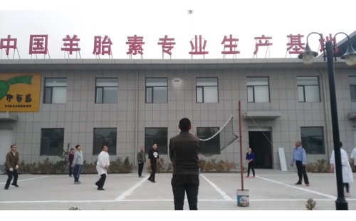 排球傳溫情，員工齊聚心