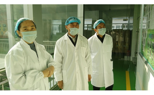 銀川市金鳳區工業集中區黨工委書記張勝利一行蒞臨公司參觀、調研