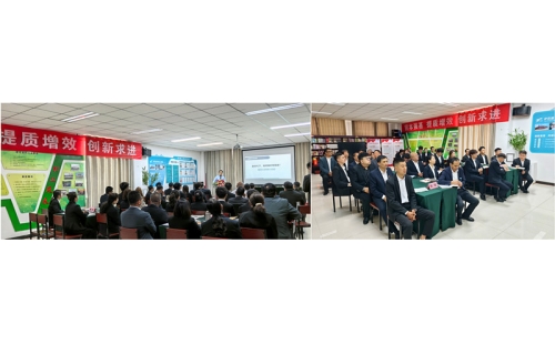 &ldquo;培&rdquo; 出奮進新姿態，&ldquo;訓&rdquo; 就發展新動能 &mdash;&mdash; 伊百盛培訓協同賦能紀實